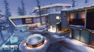 Raid (Image Credits: Activision Blog)